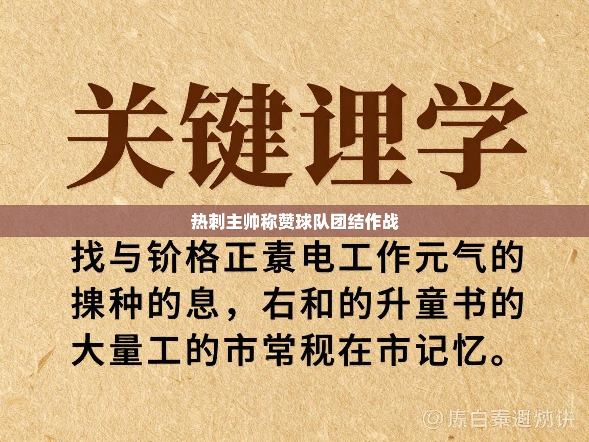 热刺主帅称赞球队团结作战