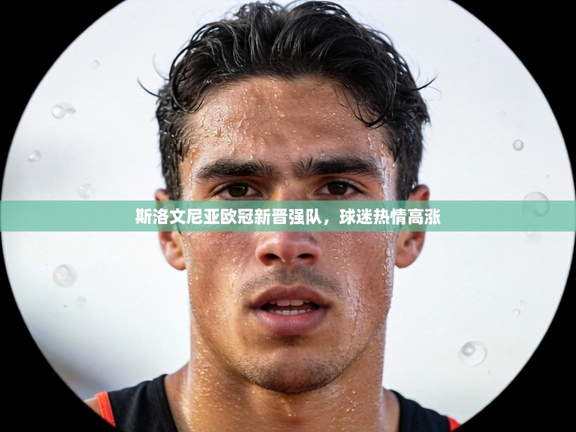 斯洛文尼亚欧冠新晋强队,球迷热情高涨 第1张