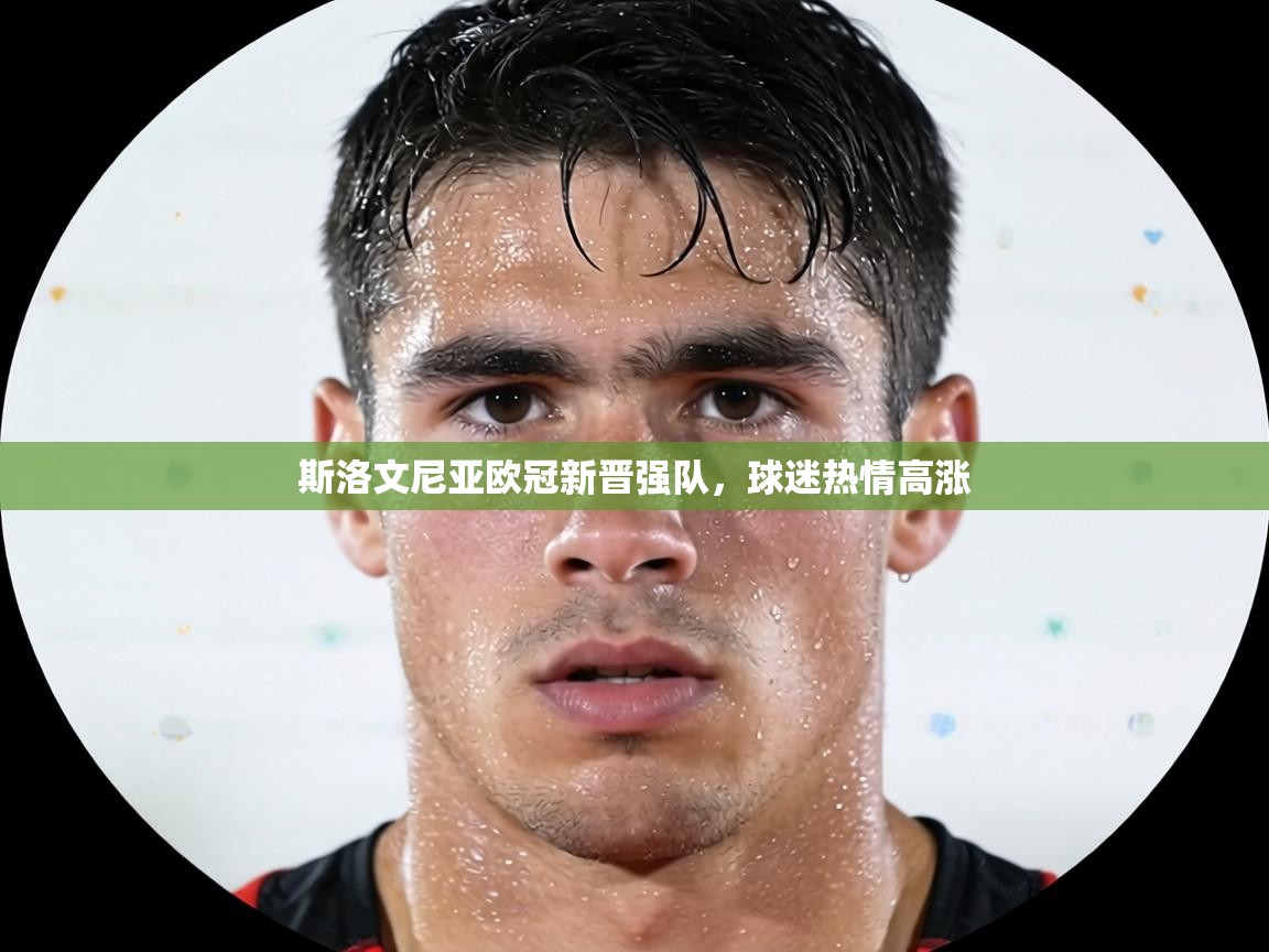 斯洛文尼亚欧冠新晋强队,球迷热情高涨 第2张