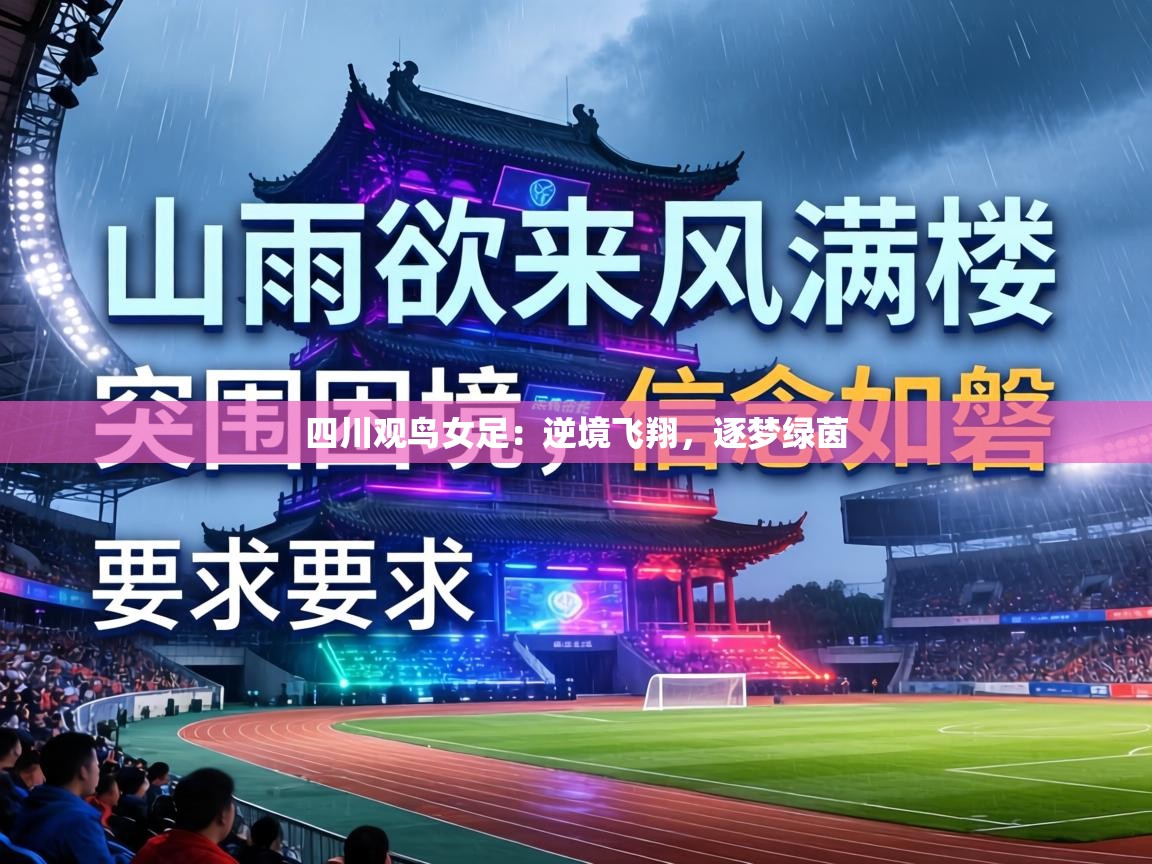 四川观鸟女足：逆境飞翔，逐梦绿茵